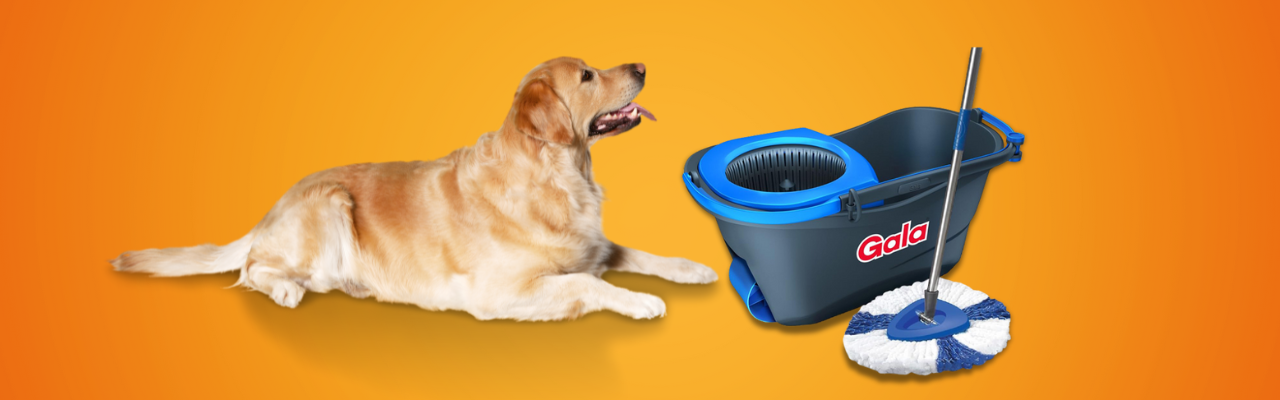 How to Keep Your Home Clean and Fresh as a Pet Owner | Gala India