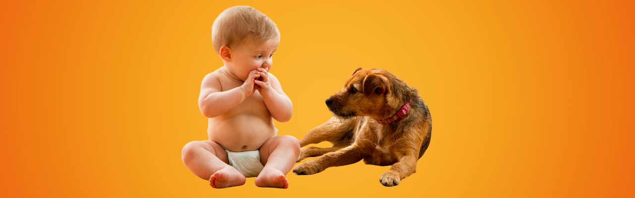 Best Gala Tools for Families with Children and Pets